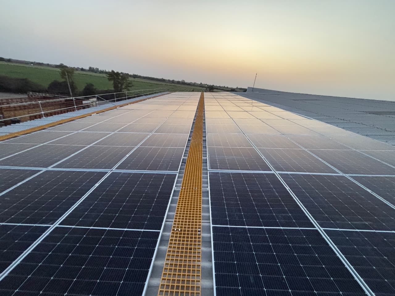 WhatsApp Image 2026-02-21 at 6.54.58 PM